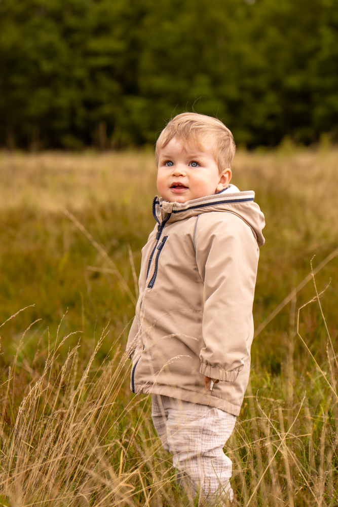 Kindershooting outdoor, Junge in Heide, dreht sich um