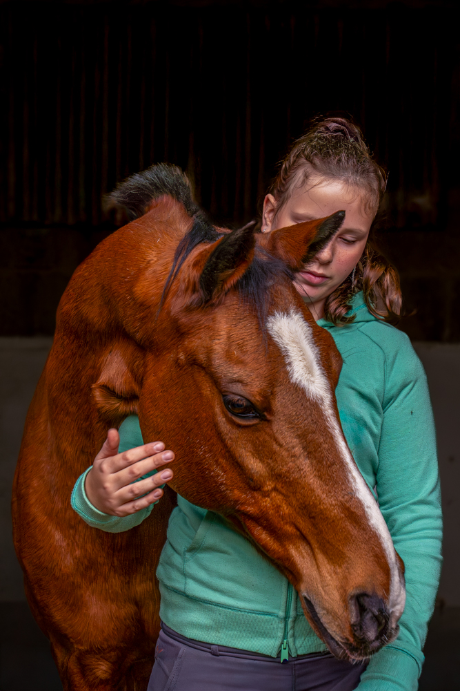 Pony und Kind in der Box